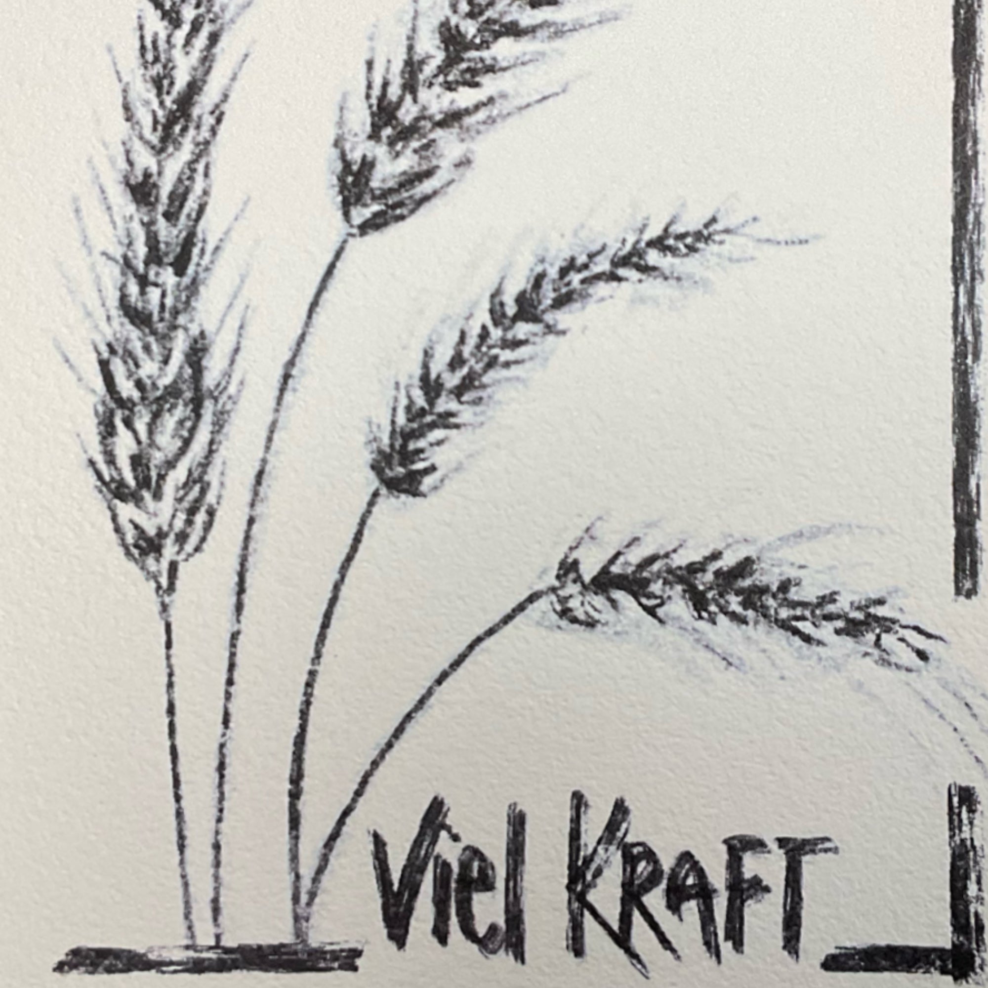 Detailansicht der handgezeichneten Weizenähren-Illustration auf der Motivationskarte Viel Kraft, KicomiArt
