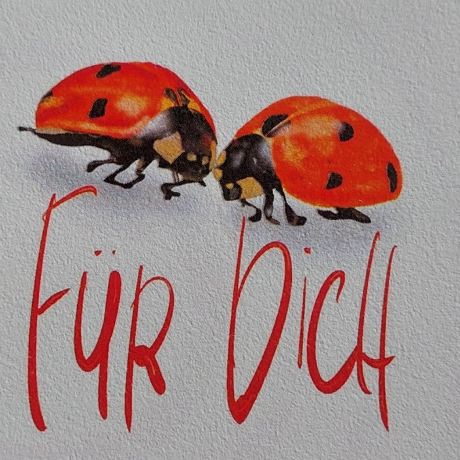 Detailansicht der Glückskäfer-Karte mit zarter Illustration von KicomiArt